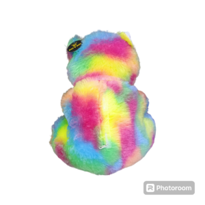 Rainbow Teddy - Image 2